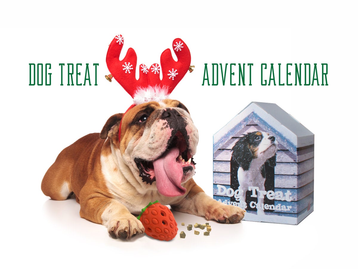 Dog Treat Advent Calendar Falvai Creative Dog Treat Advent Calendar 2025
